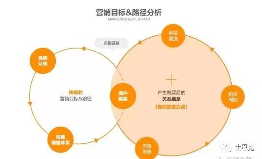 互联网+合作社 新型农业开启致富新篇章，数据处理服务成为关键引擎